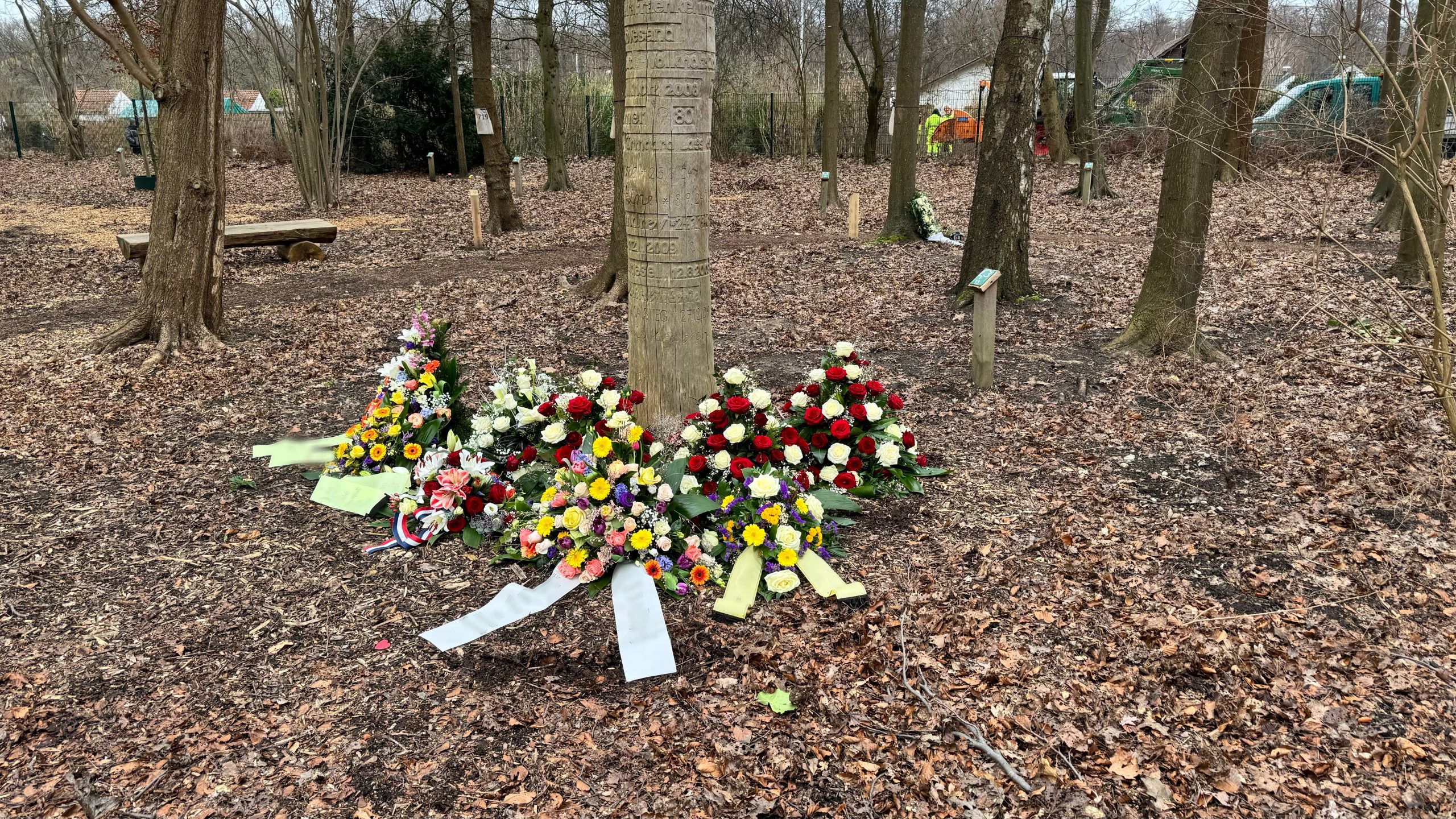 Blumenkränze und Gestecke an einer Baumbestattungsfläche auf dem Friedhof in Laatzen